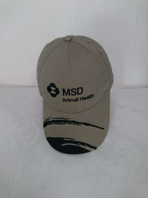 Caps branded Collection of 14