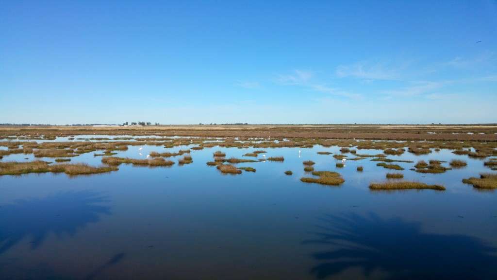 LG G4 | QHD Quantum Display | 4G LTE | 16MP/4K camera | Snapdragon 808 hex core | Leather back