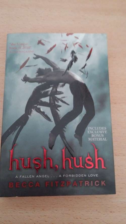 Hush Hush by Becca Fitzpatrick
