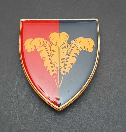 * Border War : 1970s SADF South Cape Command Lucite Flash  (All Pins).**