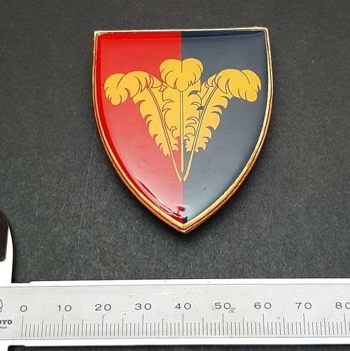 * Border War : 1970s SADF South Cape Command Lucite Flash  (All Pins).**