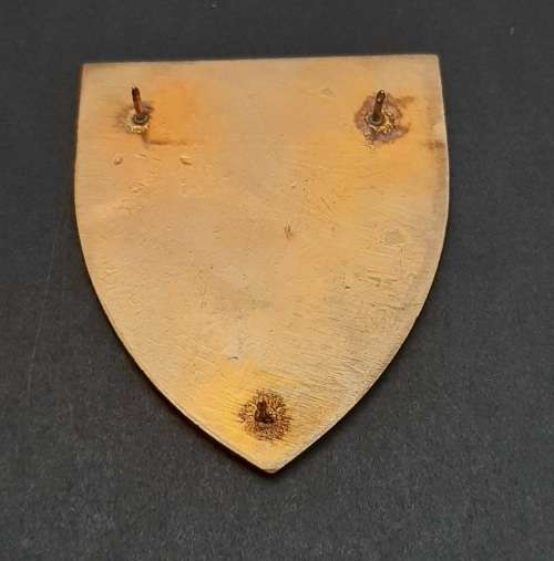 * Border War : 1970s SADF South Cape Command Lucite Flash  (All Pins).**