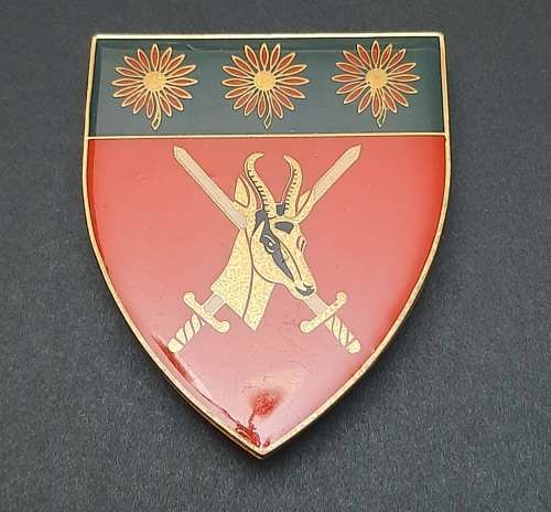 * Border War : 1980s SADF N/ Transvaal Comm. Lucite Flash x1 (All Pins).**