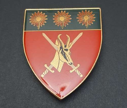 * Border War : 1980s SADF N/ Transvaal Comm. Lucite Flash x1 (All Pins).**