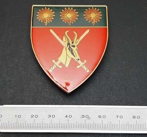 * Border War : 1980s SADF N/ Transvaal Comm. Lucite Flash x1 (All Pins).**