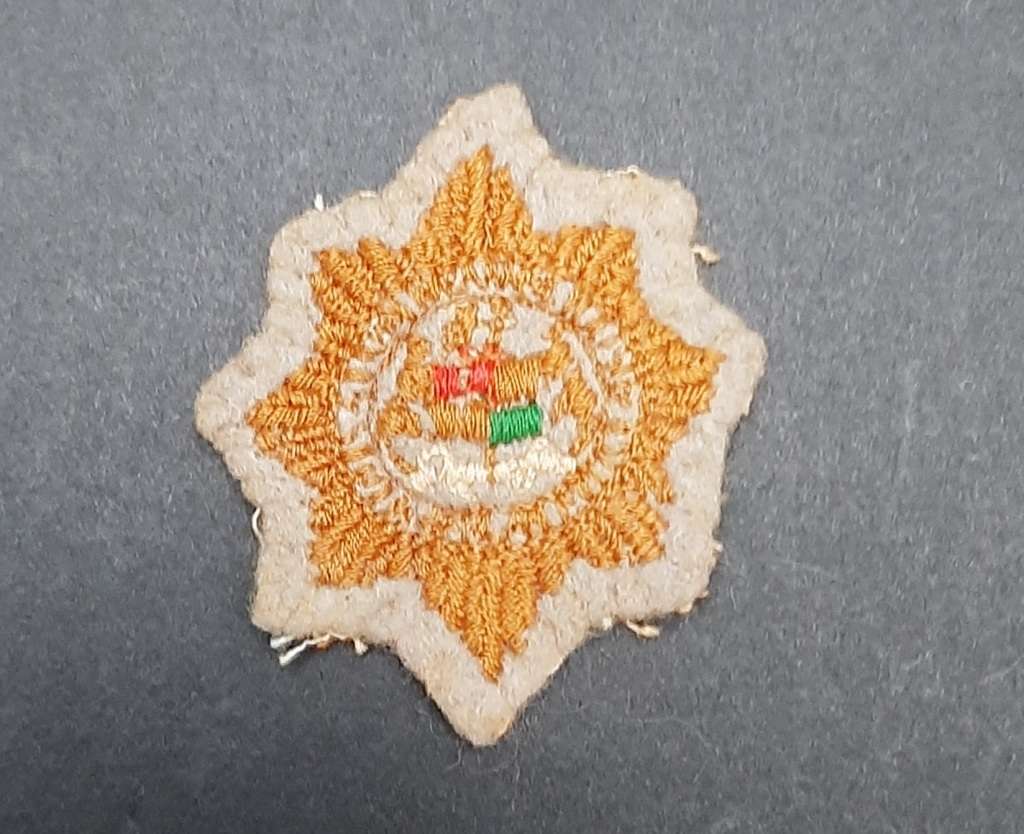 Border War: 1980s  2nd Pattern Camouflage Embroidered Cap Badge