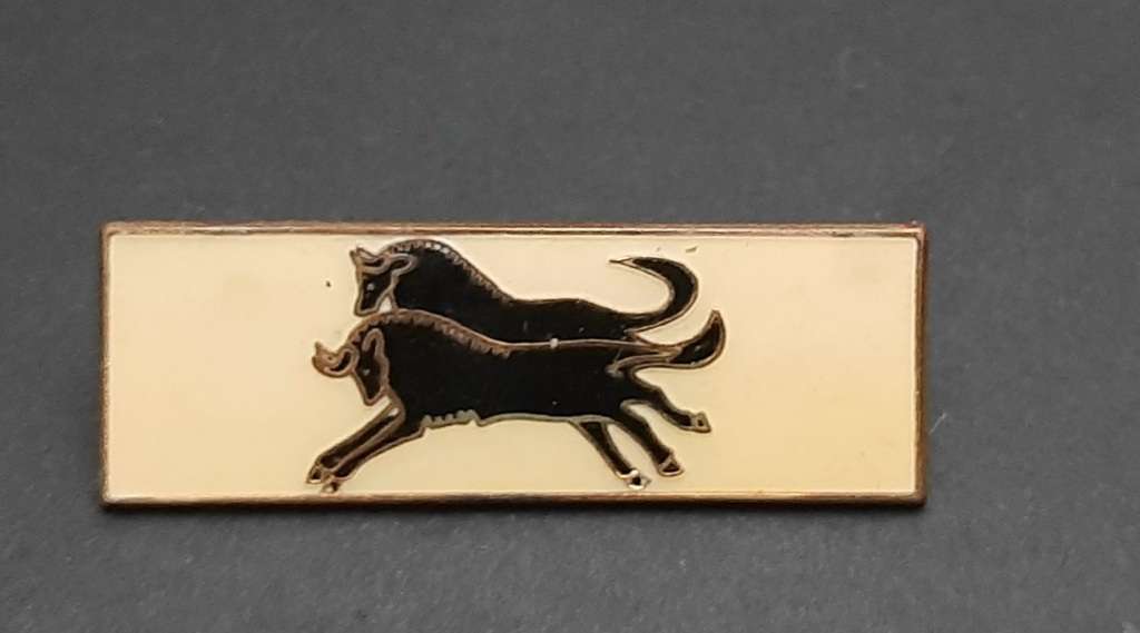 **Border War : 1980s SADF Natal Command Bar (All Pins ).**