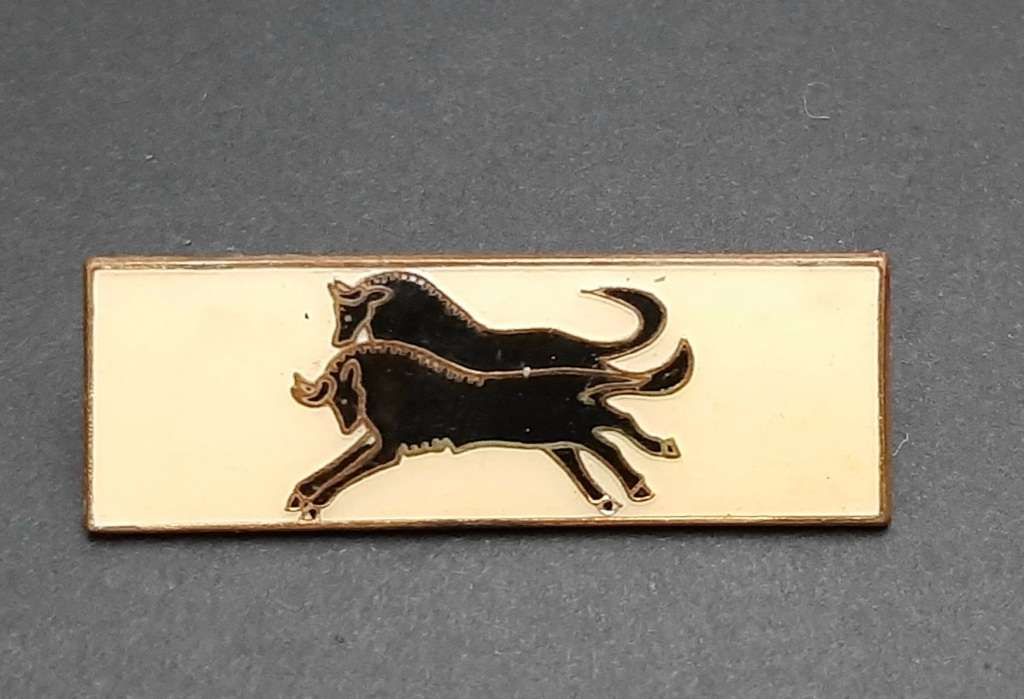 **Border War : 1980s SADF Natal Command Bar (All Pins ).**