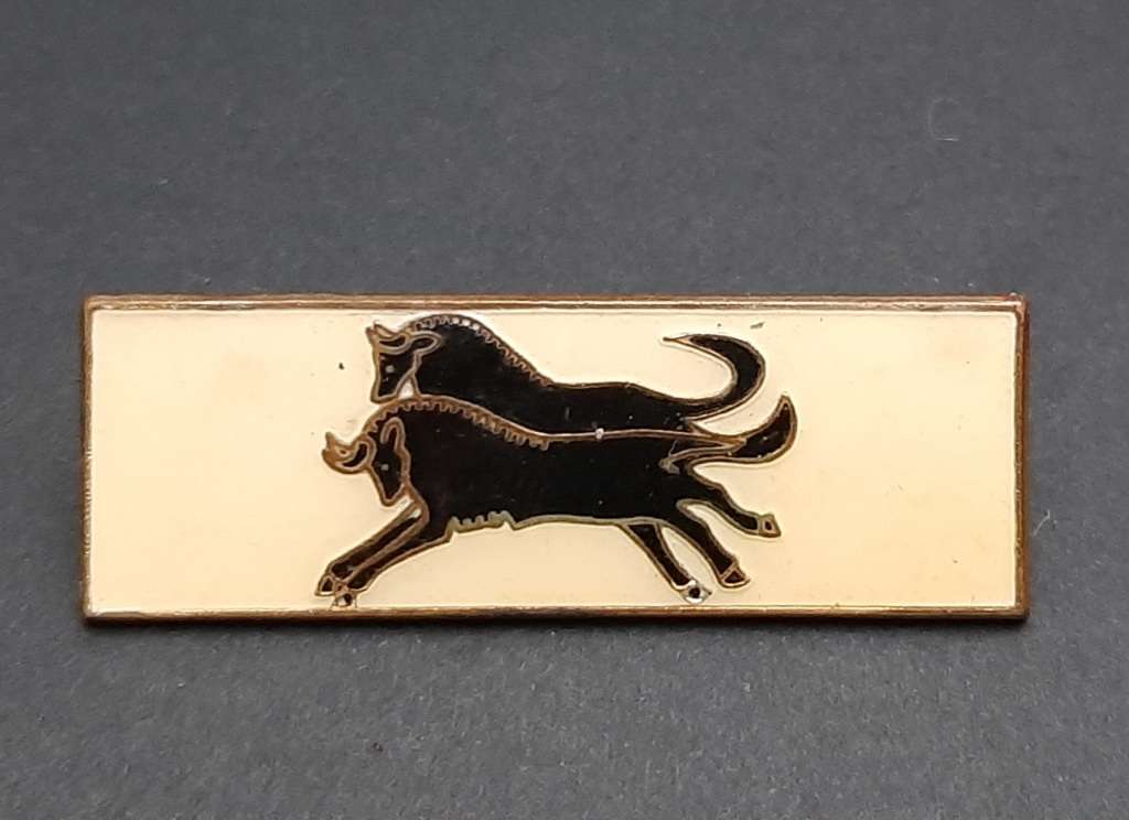 **Border War : 1980s SADF Natal Command Bar (All Pins ).**