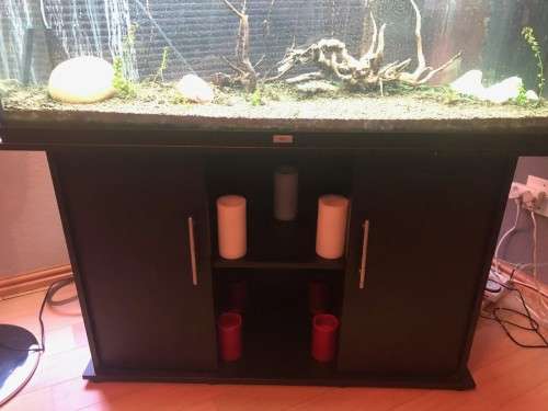 Aquarium : Jewel 240 liter with LOADS of supplies AND a breeding pair