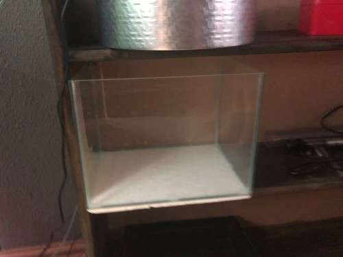 Aquarium : Jewel 240 liter with LOADS of supplies AND a breeding pair