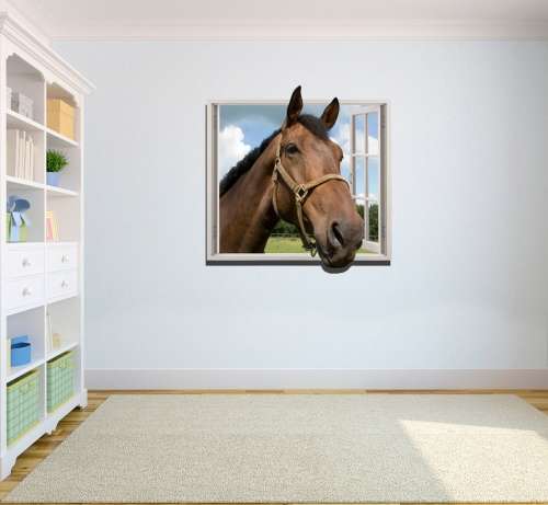 FULL COLOUR VINYL DECAL -HORSE