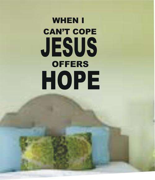 ON SPECIAL!!! VINYL DECAL - can't cope