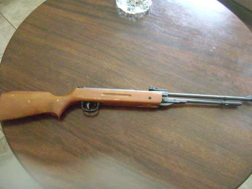 PELLET GUN -SEE DESCRIPTION