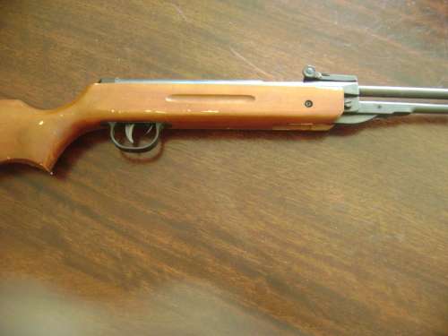 PELLET GUN -SEE DESCRIPTION