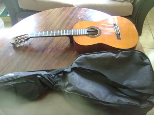 ALENSIA GUITAR IN CARRY BAG - SEE DESCRIPTION