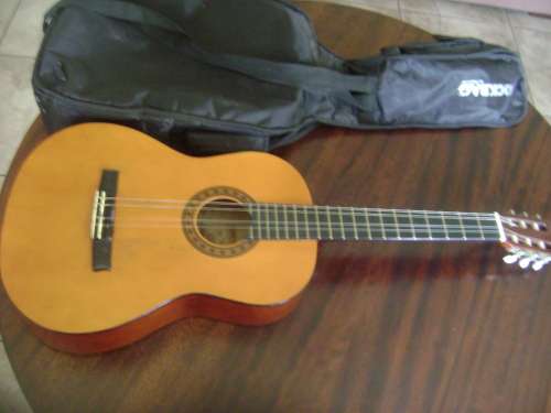 ALENSIA GUITAR IN CARRY BAG - SEE DESCRIPTION
