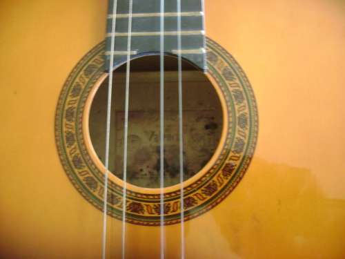 ALENSIA GUITAR IN CARRY BAG - SEE DESCRIPTION