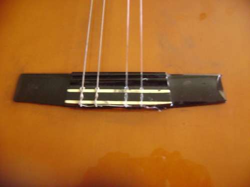 ALENSIA GUITAR IN CARRY BAG - SEE DESCRIPTION