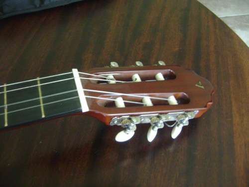 ALENSIA GUITAR IN CARRY BAG - SEE DESCRIPTION