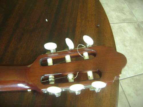 ALENSIA GUITAR IN CARRY BAG - SEE DESCRIPTION