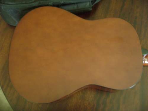 ALENSIA GUITAR IN CARRY BAG - SEE DESCRIPTION