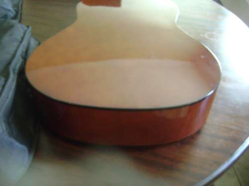 ALENSIA GUITAR IN CARRY BAG - SEE DESCRIPTION