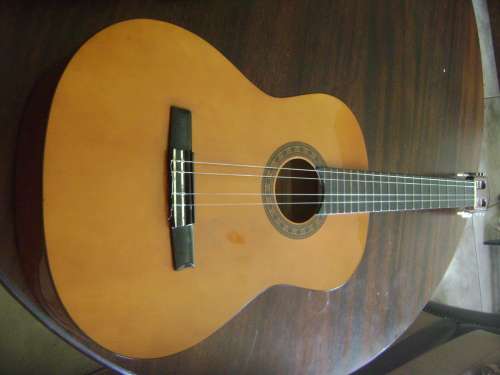 ALENSIA GUITAR IN CARRY BAG - SEE DESCRIPTION