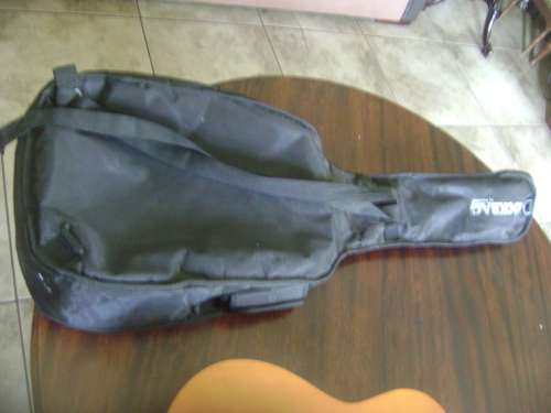 ALENSIA GUITAR IN CARRY BAG - SEE DESCRIPTION
