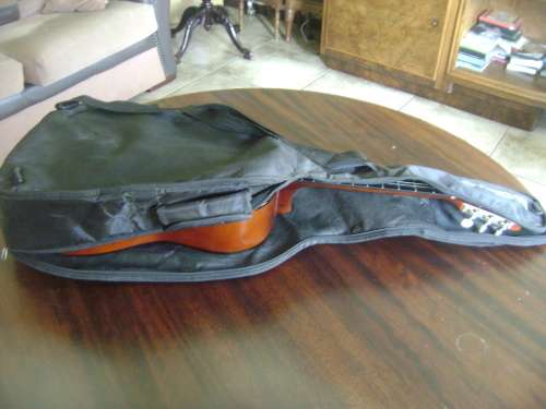 ALENSIA GUITAR IN CARRY BAG - SEE DESCRIPTION