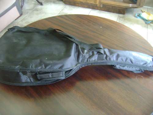 ALENSIA GUITAR IN CARRY BAG - SEE DESCRIPTION