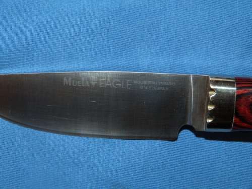 Muela EAGLE Knife made in Spain