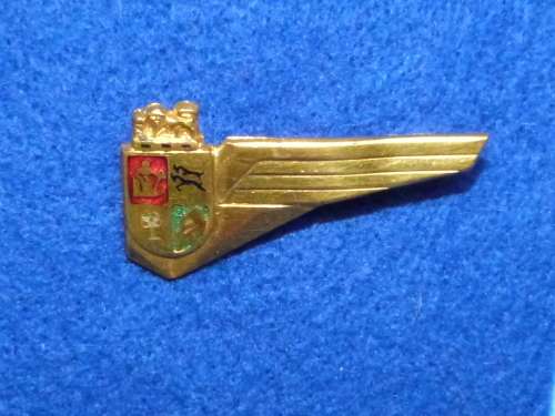 Vintage SAA Cabin Crew wing #1