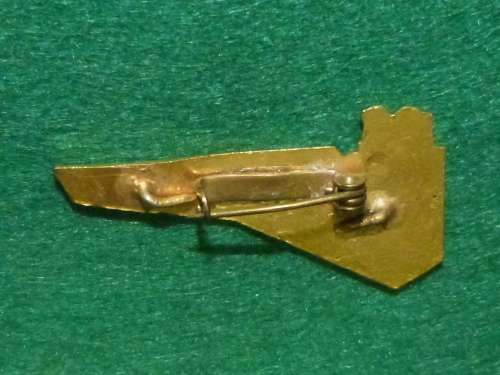 Vintage SAA Cabin Crew wing #1