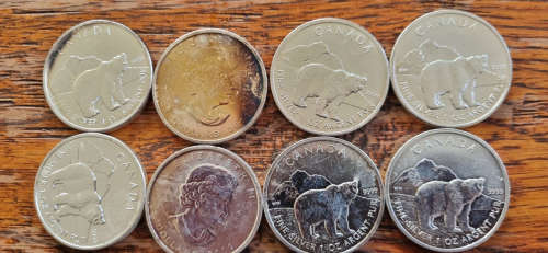 Canada Bear 1 Oz 9999 - Silver tarnish marks - batch of 8 coins