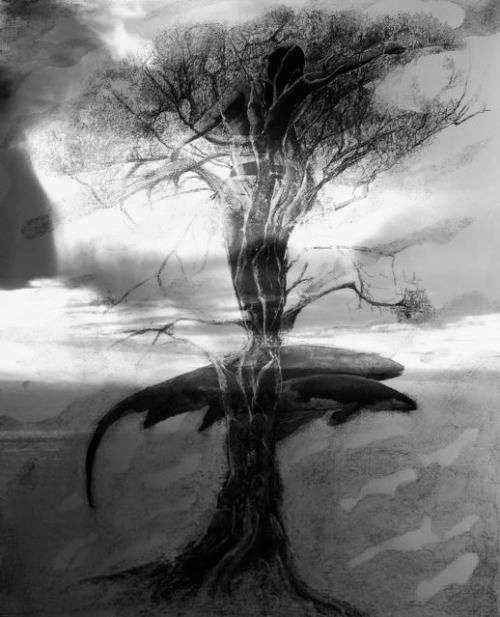 Arabella Caccia & Deborah Da Silva Everard Read Gallery