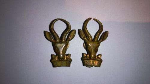 SADF SAI Beret pin ( PAIR)