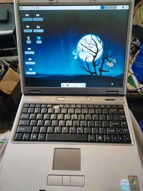 Vintage Sahara NB 610 - Running Linex