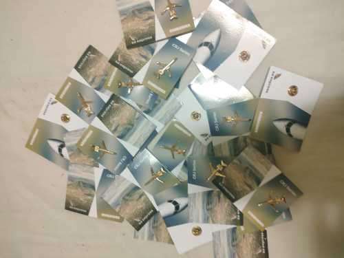 Bulk Lot Aircraft Pins (around 25)