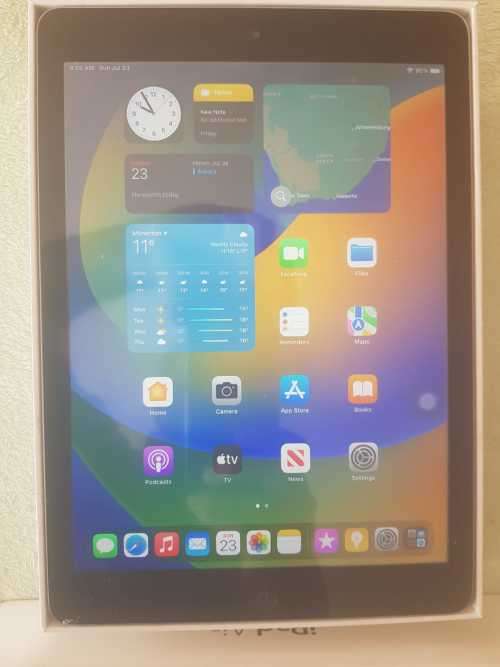 iPad 5th Gen (2017) 128GB