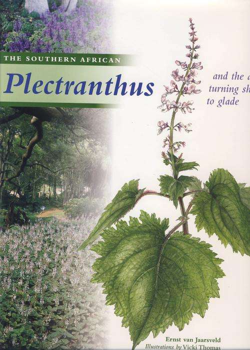 The Southern African Plectranthus