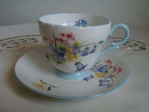 Shelley Duo - Hand Painted  "Wild Flowers" Pattern - No 13668 **Excellent Condition