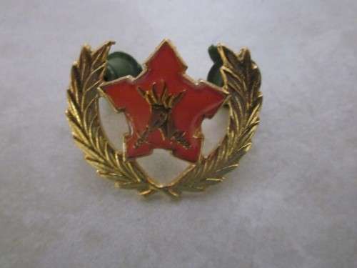 SA ARMY VOLUNTEERS BADGE- 2 PINS
