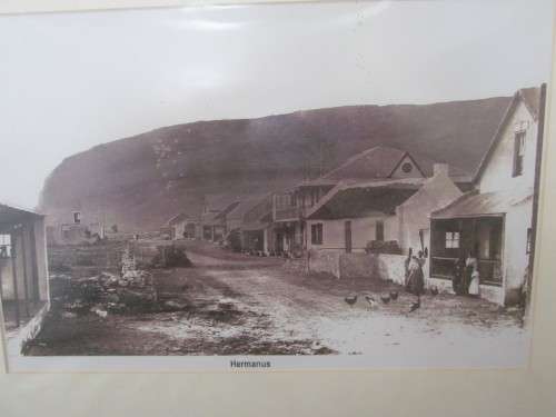 Picture/Photo/Print of Hermanus Main road post 1912 + Print Old Harbour