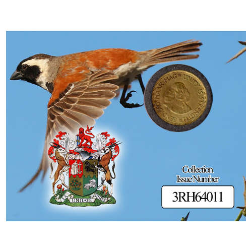 Republic Of South Africa Half Cent Coin Flip - Eendrag Maak Mag / Unity Is Strength - 1/2c 1964