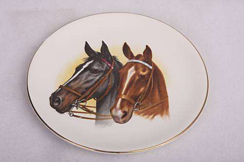 Black Beauty and Ginger - Gorgeous horses printed on wall plate