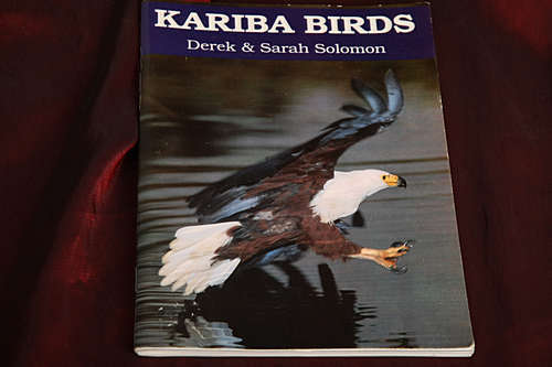 Kariba Birds by Derek & Sarah Solomon (Zimbabwe)