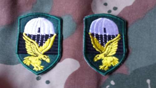 Pair 1Parachute Battalion Shoulder Flashes