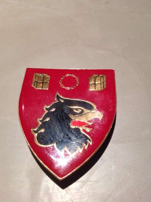 44 para brigade , 101 air supply ,RHS flash