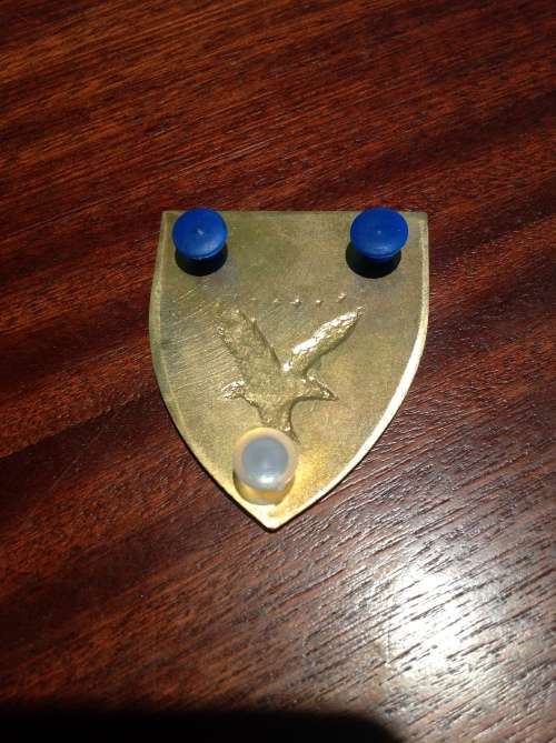 1 para battalion left hand flash X1 in good condition